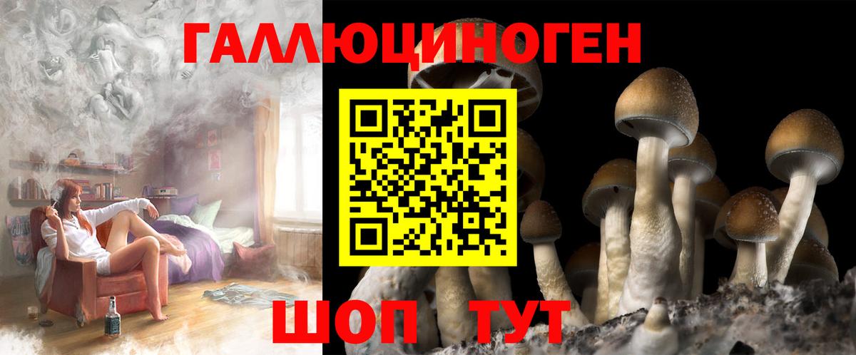 Галлюциногенные грибы GOLDEN TEACHER Чебаркуль